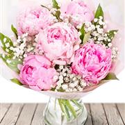 Peonies