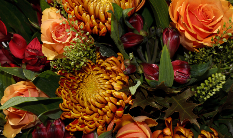 Autumn Flowers
