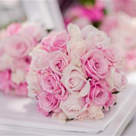 fwthumbbridal.jpg