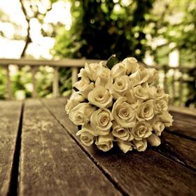 fwthumbbridal6.jpg