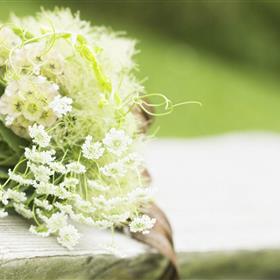 fwthumbweddings.jpg