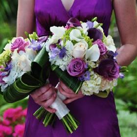fwthumbweddings6.jpg
